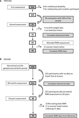 Thrifty-Eating Behavior Phenotype at the Food Court – Programming Goes Beyond Food Preferences